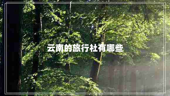 云南的旅行社有哪些