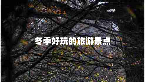 冬季好玩的旅游景點