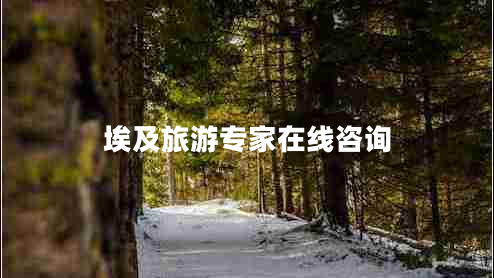 埃及旅游專家在線咨詢