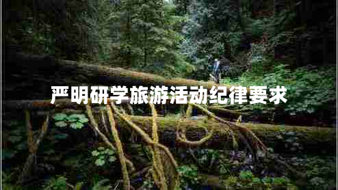 嚴(yán)明研學(xué)旅游活動(dòng)紀(jì)律要求