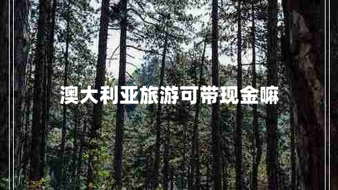 澳大利亞旅游可帶現(xiàn)金嘛