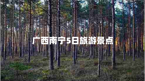 廣西南寧5日旅游景點(diǎn) 廣西南寧5日旅游景點(diǎn)