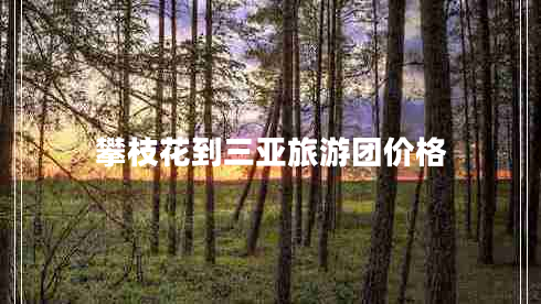 攀枝花到三亞旅游團(tuán)價格