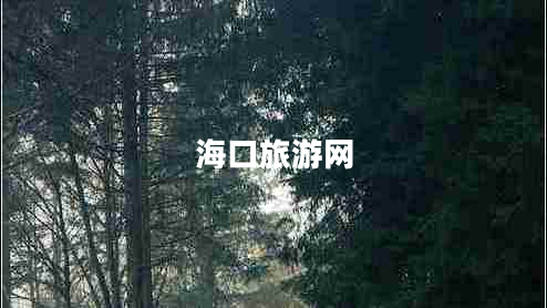 ?？诼糜尉W(wǎng)