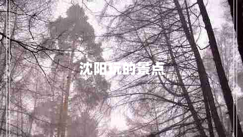 沈陽(yáng)玩的景點(diǎn)