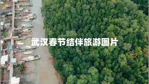 武漢春節(jié)結(jié)伴旅游圖片 武漢春節(jié)結(jié)伴旅游圖片