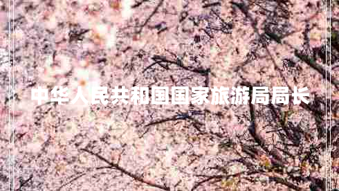 中華人民共和國(guó)國(guó)家旅游局局長(zhǎng)