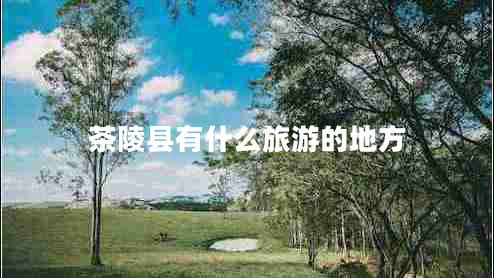 茶陵縣有什么旅游的地方