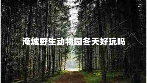 淹城野生動物園冬天好玩嗎