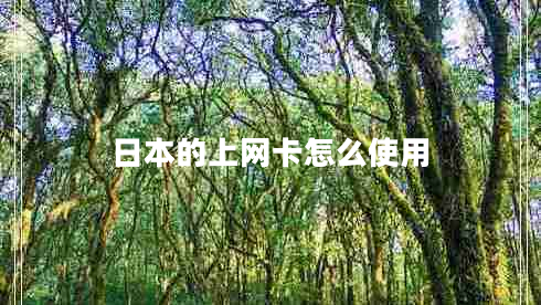 日本的上網(wǎng)卡怎么使用