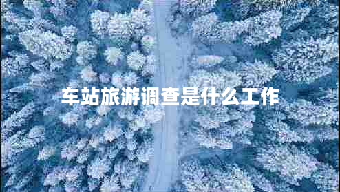 車站旅游調查是什么工作