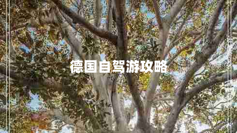 德國自駕游攻略 德國自駕游攻略