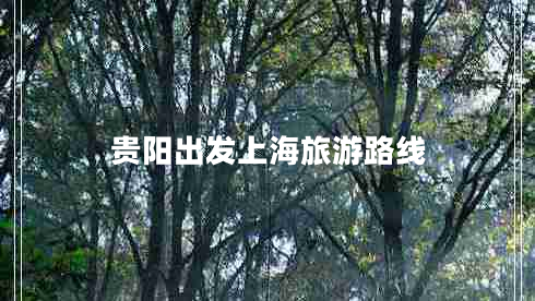貴陽(yáng)出發(fā)上海旅游路線