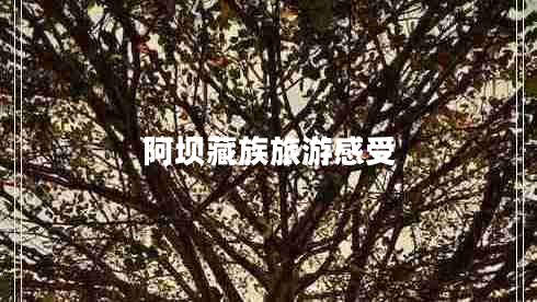 阿壩藏族旅游感受 阿壩藏族旅游感受