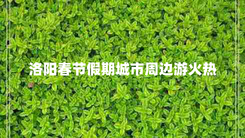 洛陽春節(jié)假期城市周邊游火熱