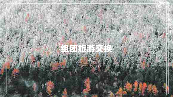 組團(tuán)旅游交換 組團(tuán)旅游交換