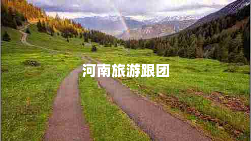 河南旅游跟團(tuán)