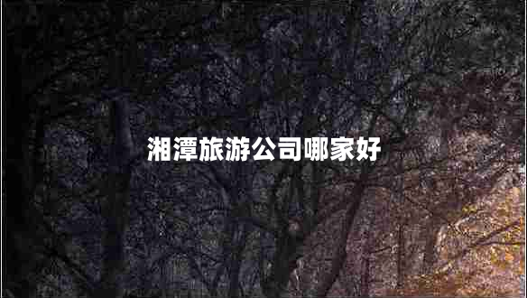 湘潭旅游公司哪家好 湘潭旅游公司哪家好