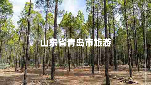 山東省青島市旅游