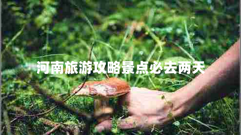 河南旅游攻略景點(diǎn)必去兩天 河南旅游攻略景點(diǎn)必去兩天
