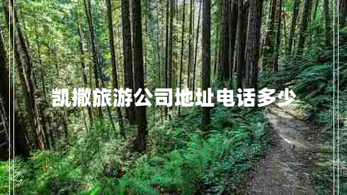 凱撒旅游公司地址電話多少