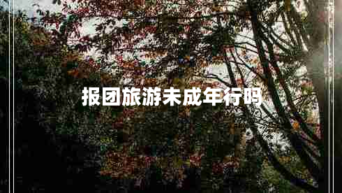 報團(tuán)旅游未成年行嗎