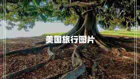 美國(guó)旅行圖片