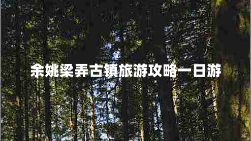 余姚梁弄古鎮(zhèn)旅游攻略一日游