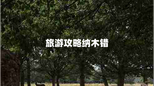 旅游攻略納木錯