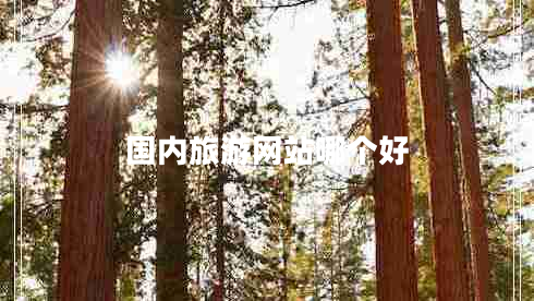 國內(nèi)旅游網(wǎng)站哪個好