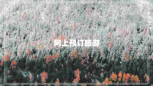 網(wǎng)上預(yù)訂旅游 網(wǎng)上預(yù)訂旅游