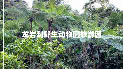 龍巖到野生動物園旅游團