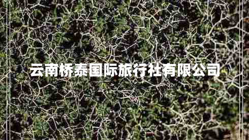 云南橋泰國(guó)際旅行社有限公司 云南橋泰國(guó)際旅行社有限公司
