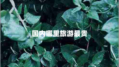 國內哪里旅游最貴
