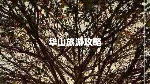 華山旅游攻略