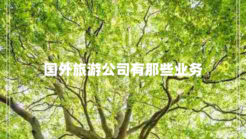 國(guó)外旅游公司有那些業(yè)務(wù)