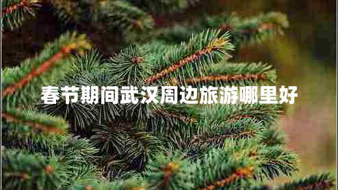 春節(jié)期間武漢周邊旅游哪里好