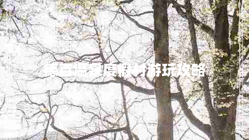 德百溫泉度假村游玩攻略