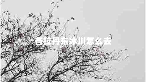 各拉丹東冰川怎么去