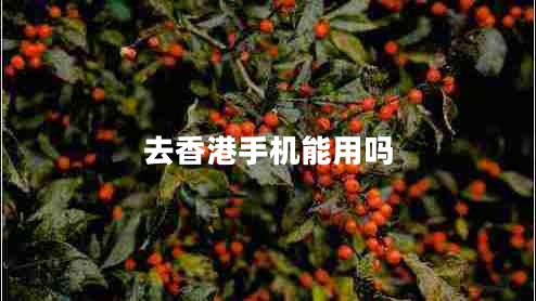 去香港手機(jī)能用嗎