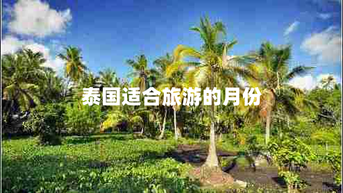 泰國(guó)適合旅游的月份 泰國(guó)適合旅游的月份