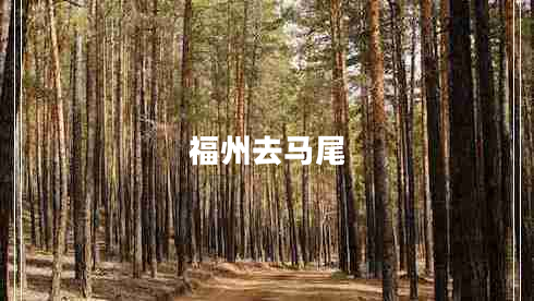 福州去馬尾