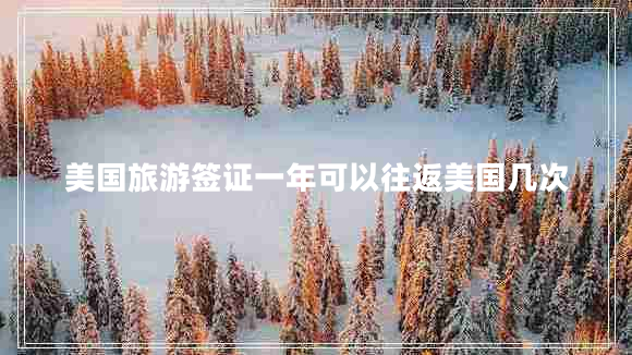 美國(guó)旅游簽證一年可以往返美國(guó)幾次