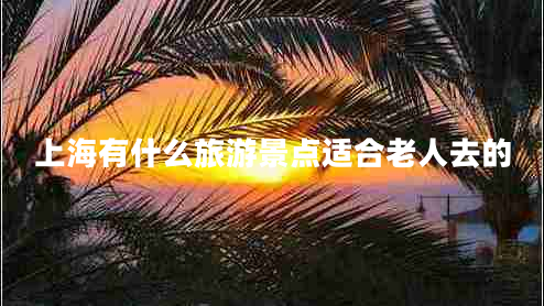 上海有什么旅游景點適合老人去的