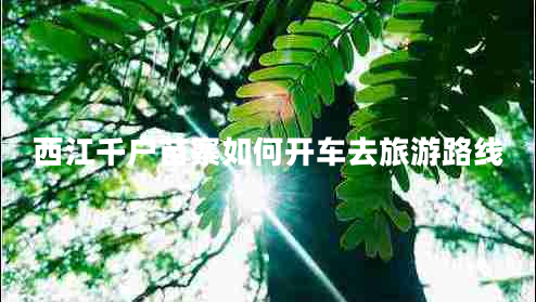 西江千戶苗寨如何開車去旅游路線 西江千戶苗寨如何開車去旅游路線