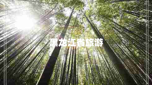 黑龍江省旅游 黑龍江省旅游