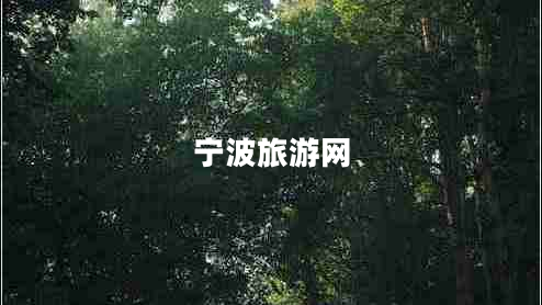 寧波旅游網(wǎng)