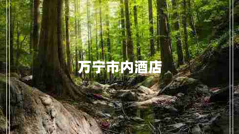 萬(wàn)寧市內(nèi)酒店