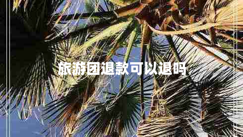 旅游團(tuán)退款可以退嗎