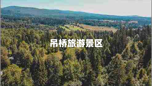 吊橋旅游景區(qū)